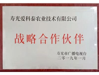 戰略合作伙伴
